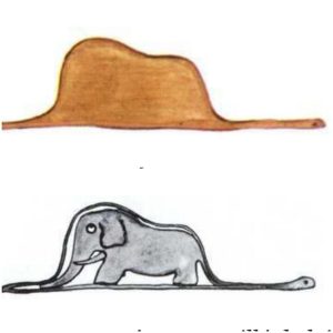 RoExit boa-elefant-300x300 UE deschide negocierile de aderare cu două state fără frontiere bine delimitate: Republica Moldova și Ucraina. Urmează transnistrizarea Europei sau dezmembrarea statelor candidate?